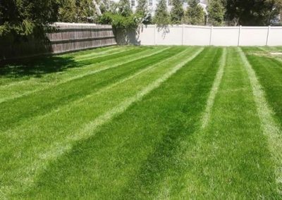 JKM Lawn Care Specialists in Royersford PA