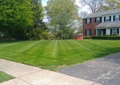 JKM Lawn Care Specialists in Royersford PA