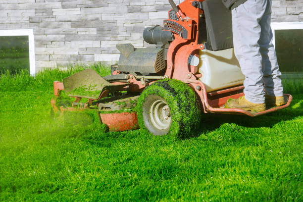 JKM Lawn Maintenance & Lawn Cutting Services Lafayette Hill PA 