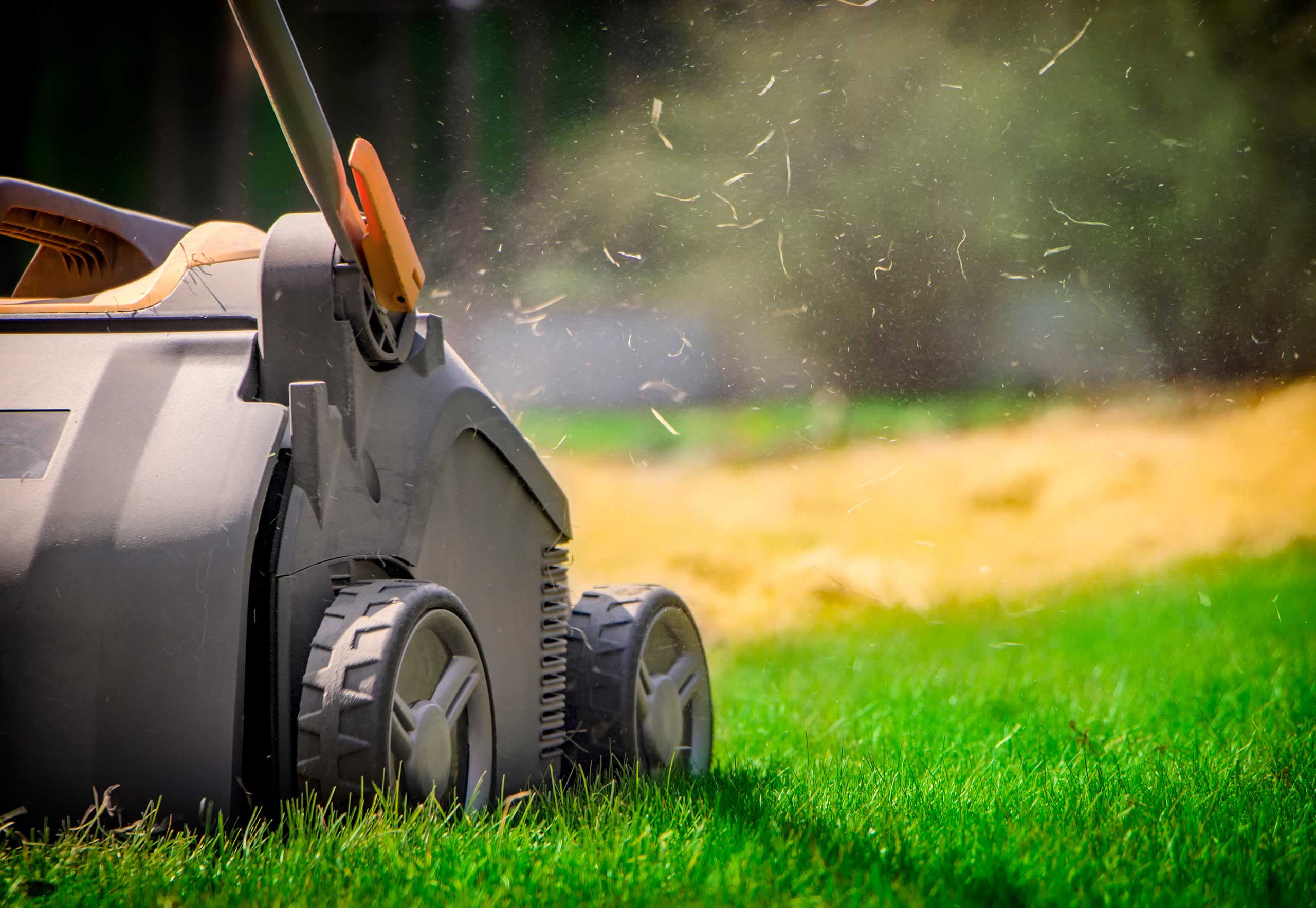 JKM Lawn Care Maintenance and Installation in Royersford PA