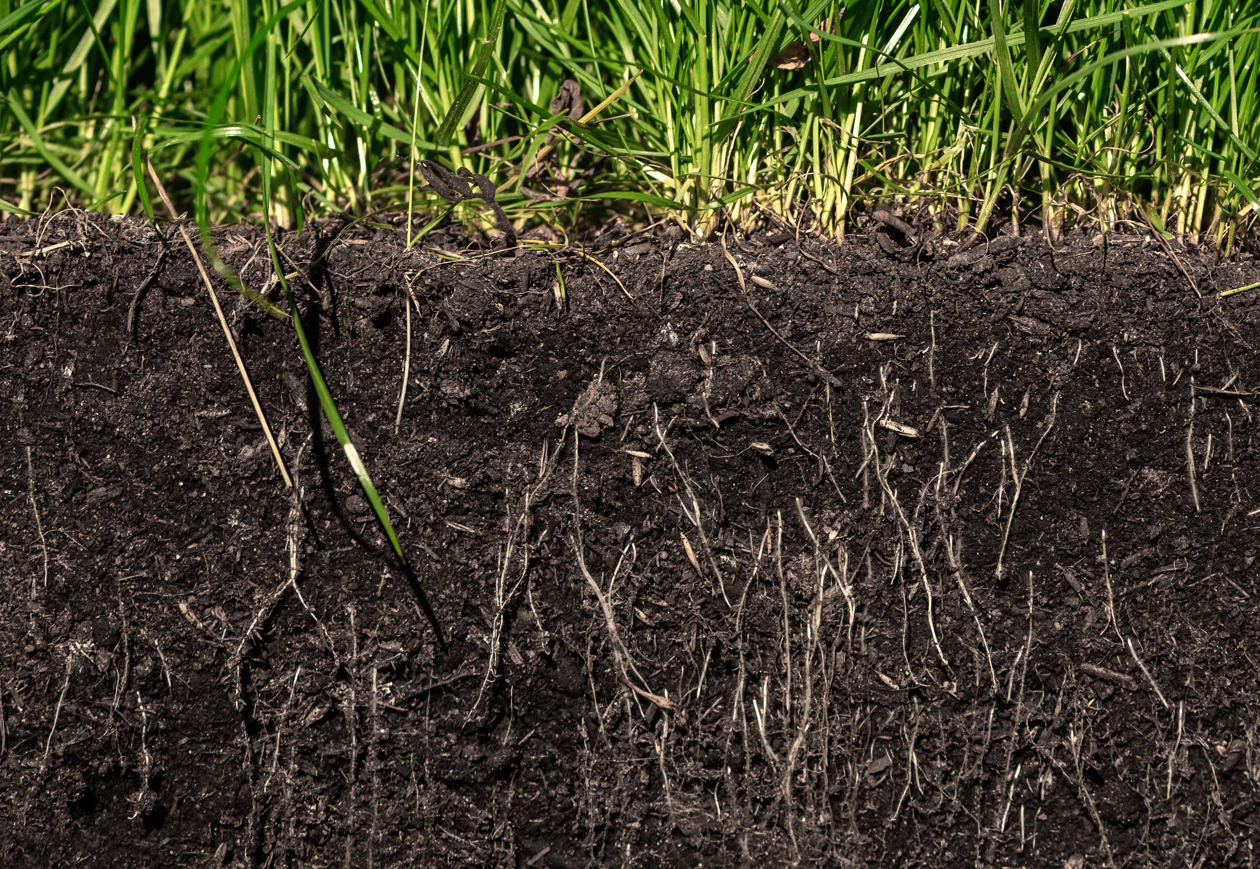 JKM Lawn Care Maintenance and Installation in Royersford PA